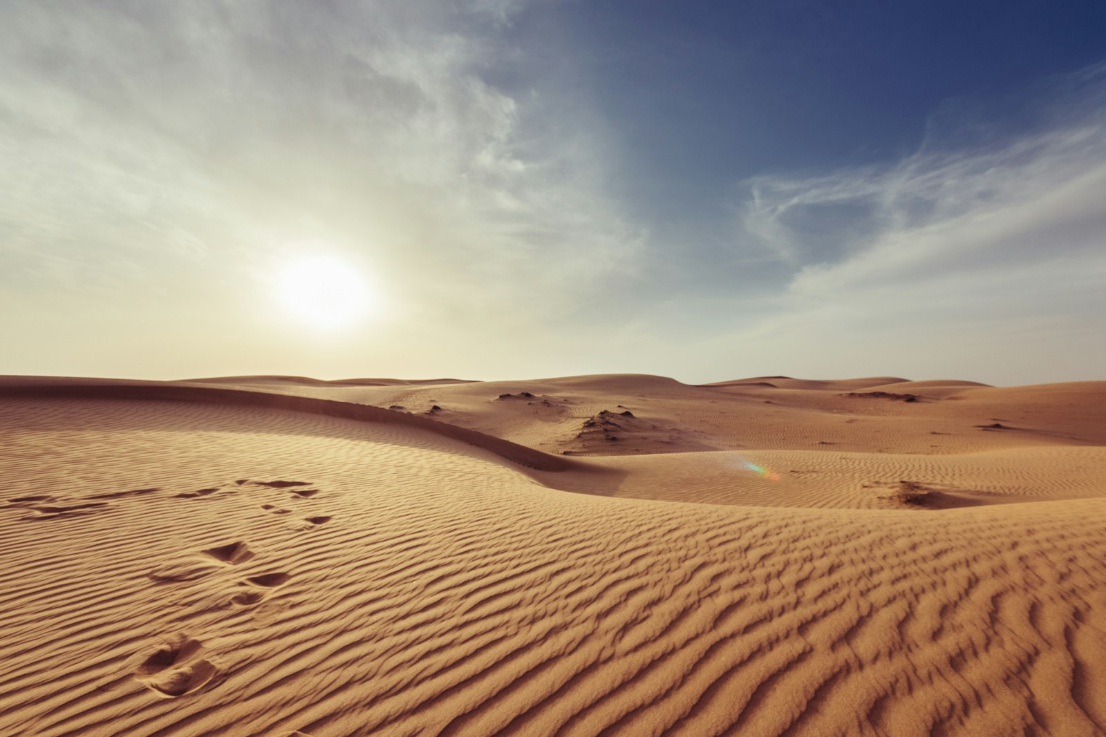 Arizona’s Groundwater Fight Moves From Desert Basins to the Ballot Box