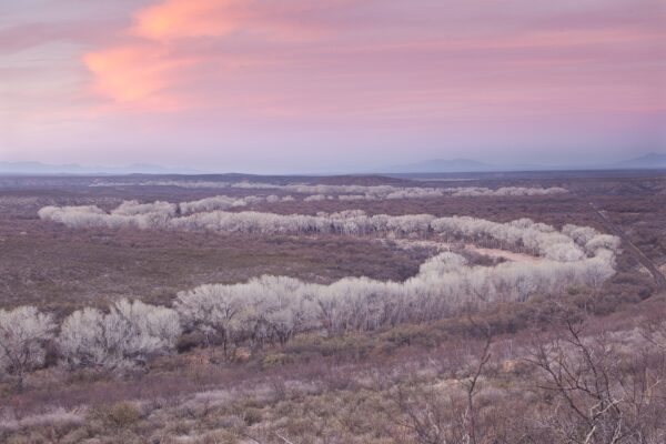 The San Pedro Riparian National Conservation Area in southeastern Arizona