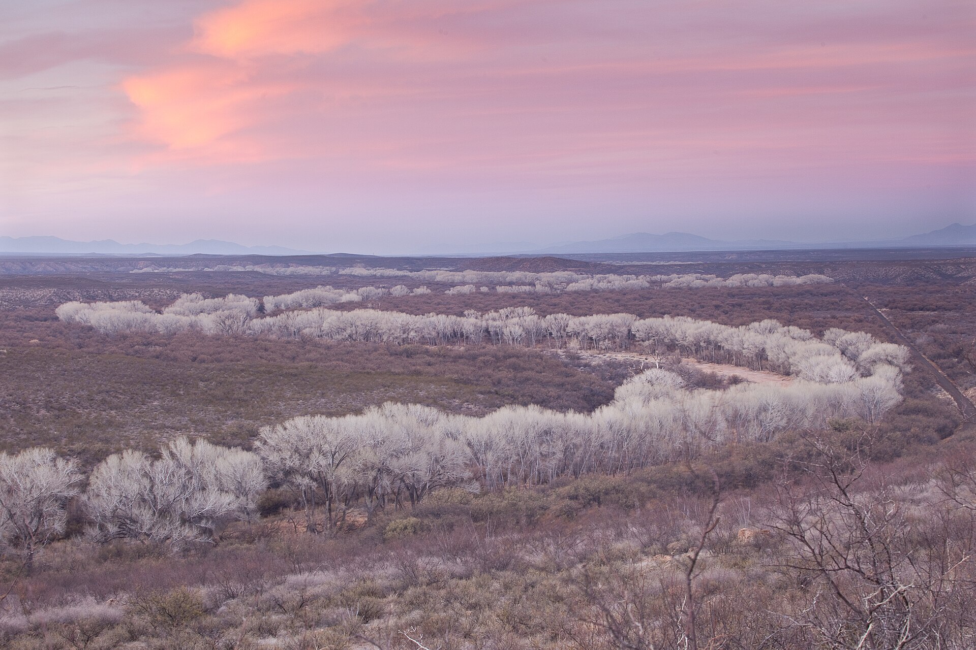 The San Pedro Riparian National Conservation Area in southeastern Arizona