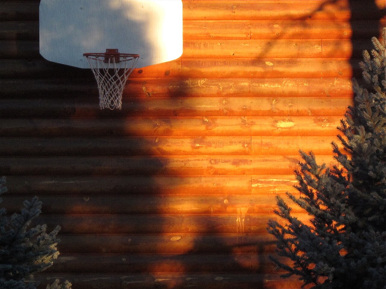 Outdoor basketball hoop silhouetted at sunset