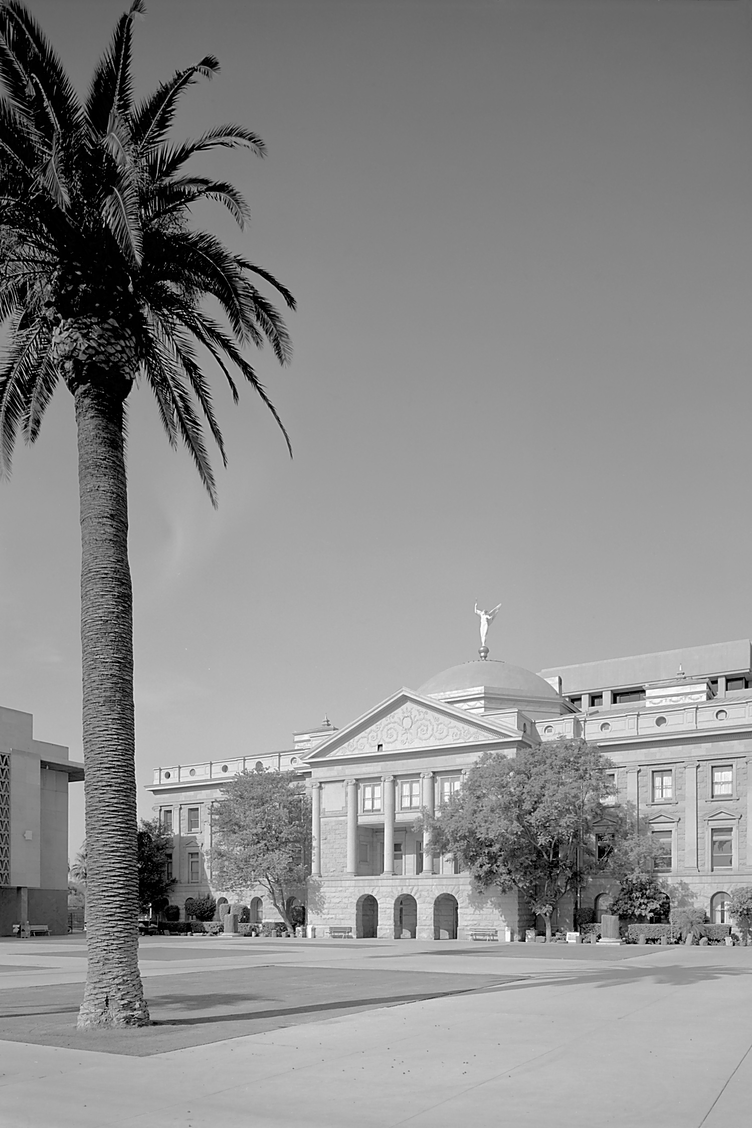 Black-and-white photo of the copper-domed Arizona State Capitol with palm trees