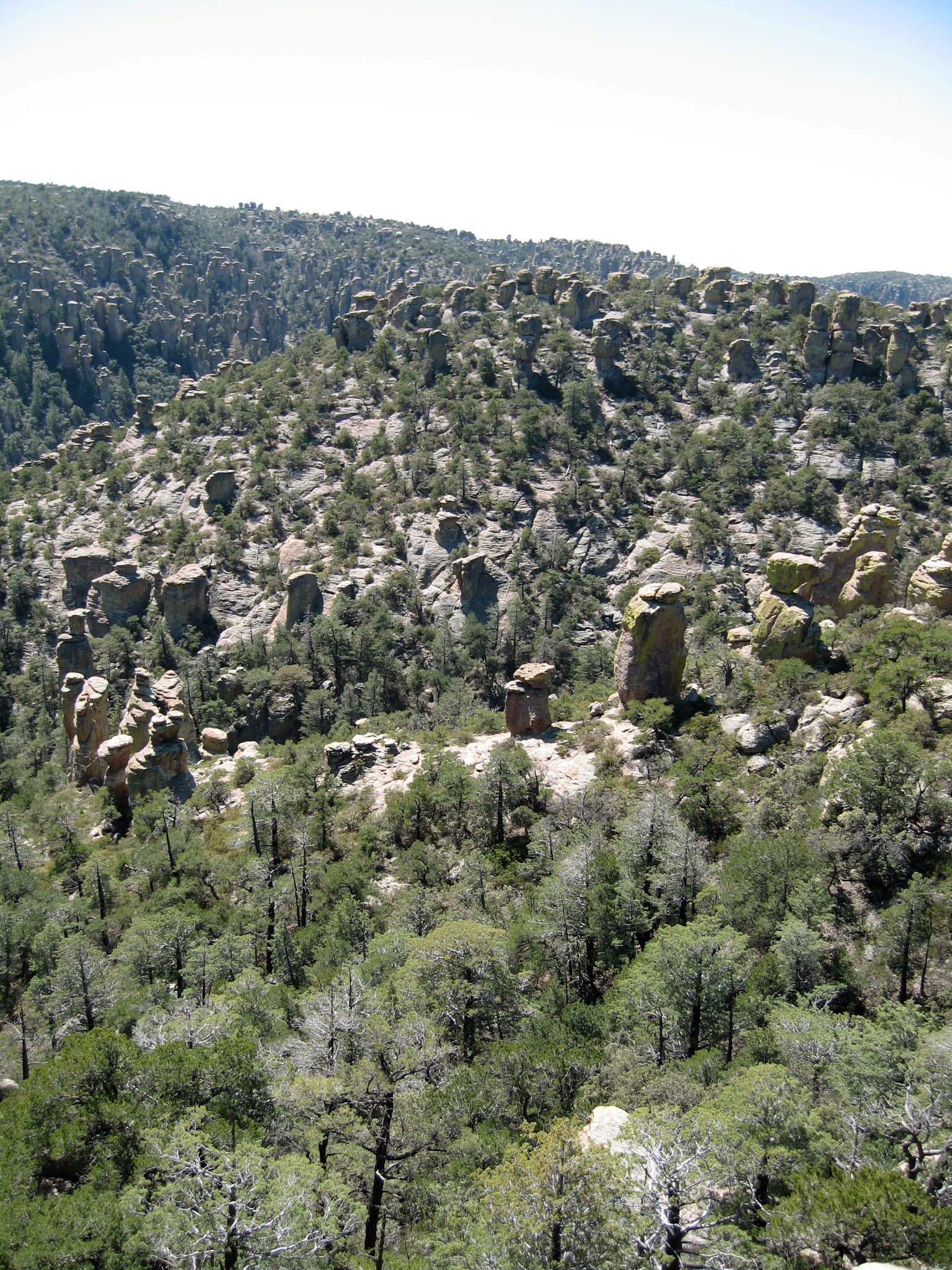 Hoodoos along the Massai Nature Trail at Chiricahua