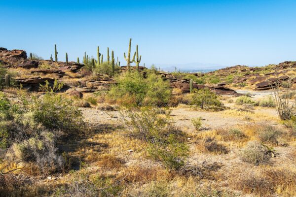 South Mountain Park in Phoenix