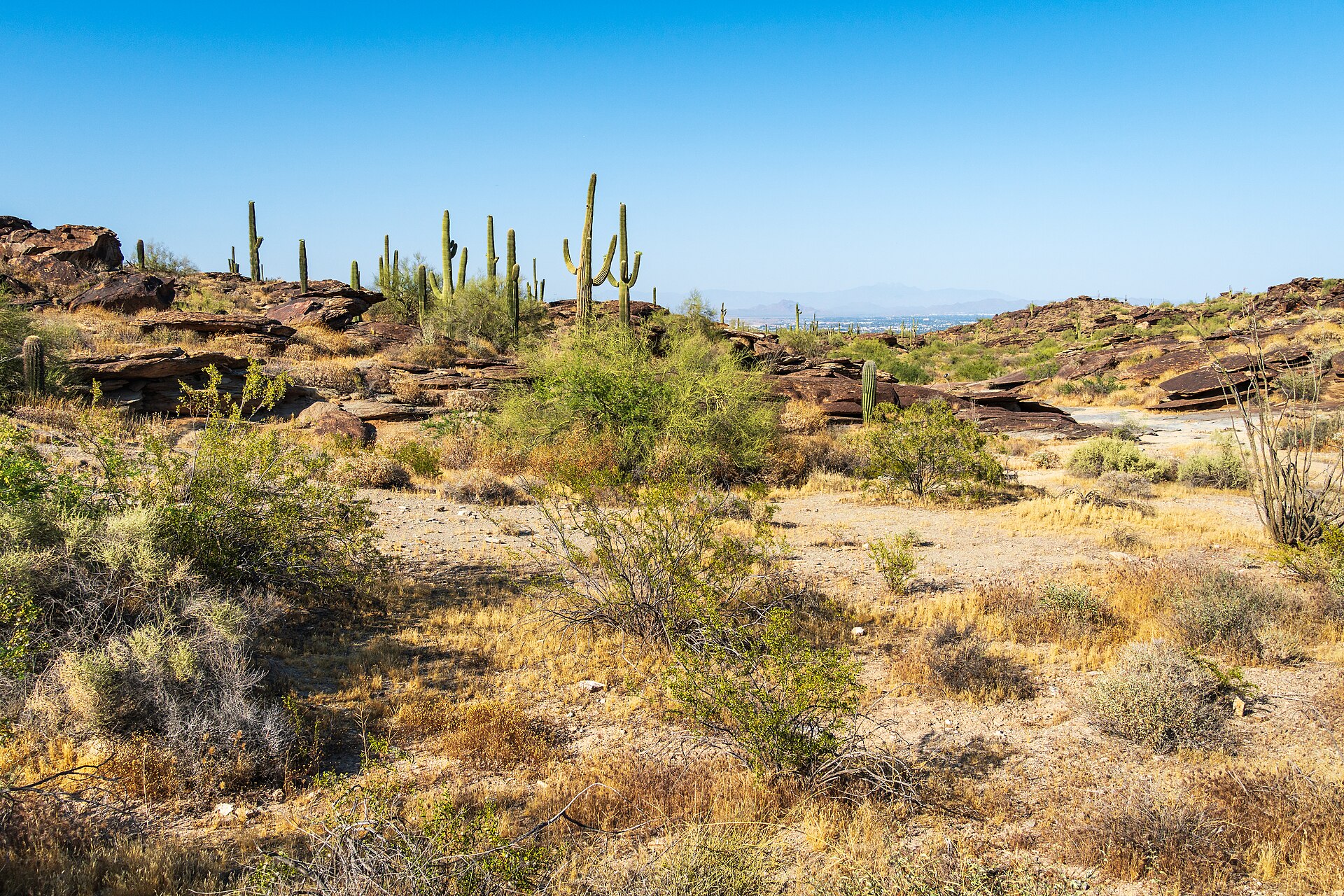 South Mountain Park in Phoenix