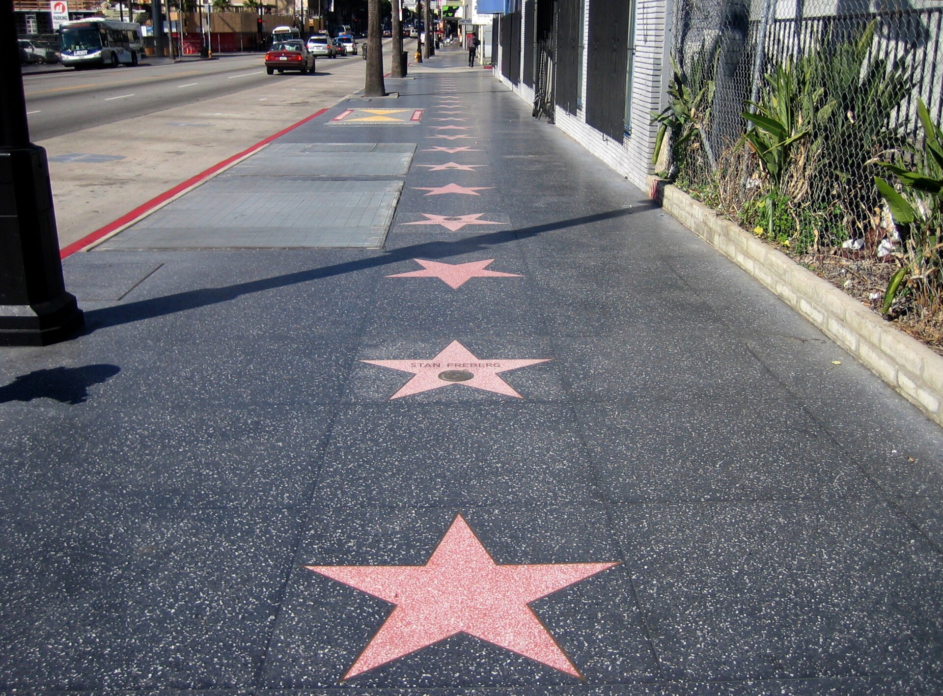 A star on the Hollywood Walk of Fame