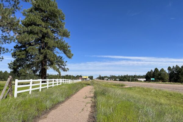 Heber-Overgaard in Navajo County