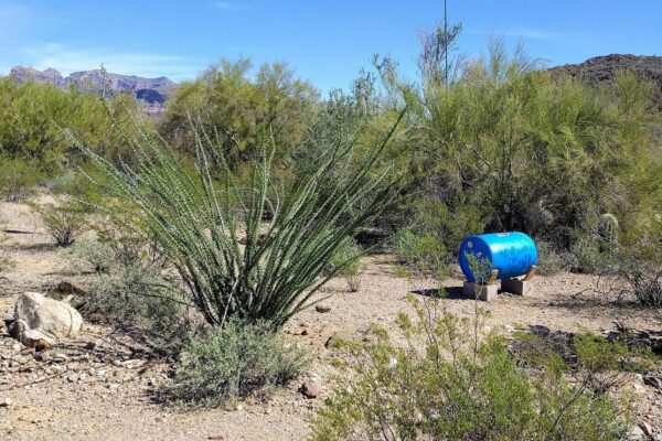 Feds Pull Permits for 12 Humane Borders Water Stations in the Arizona Desert, Including Organ Pipe