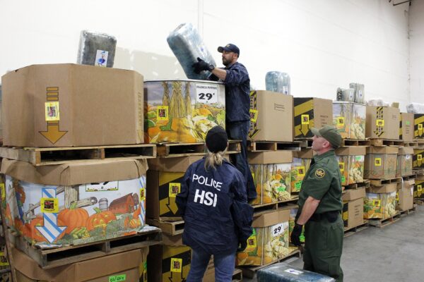 A Homeland Security Investigations agent
