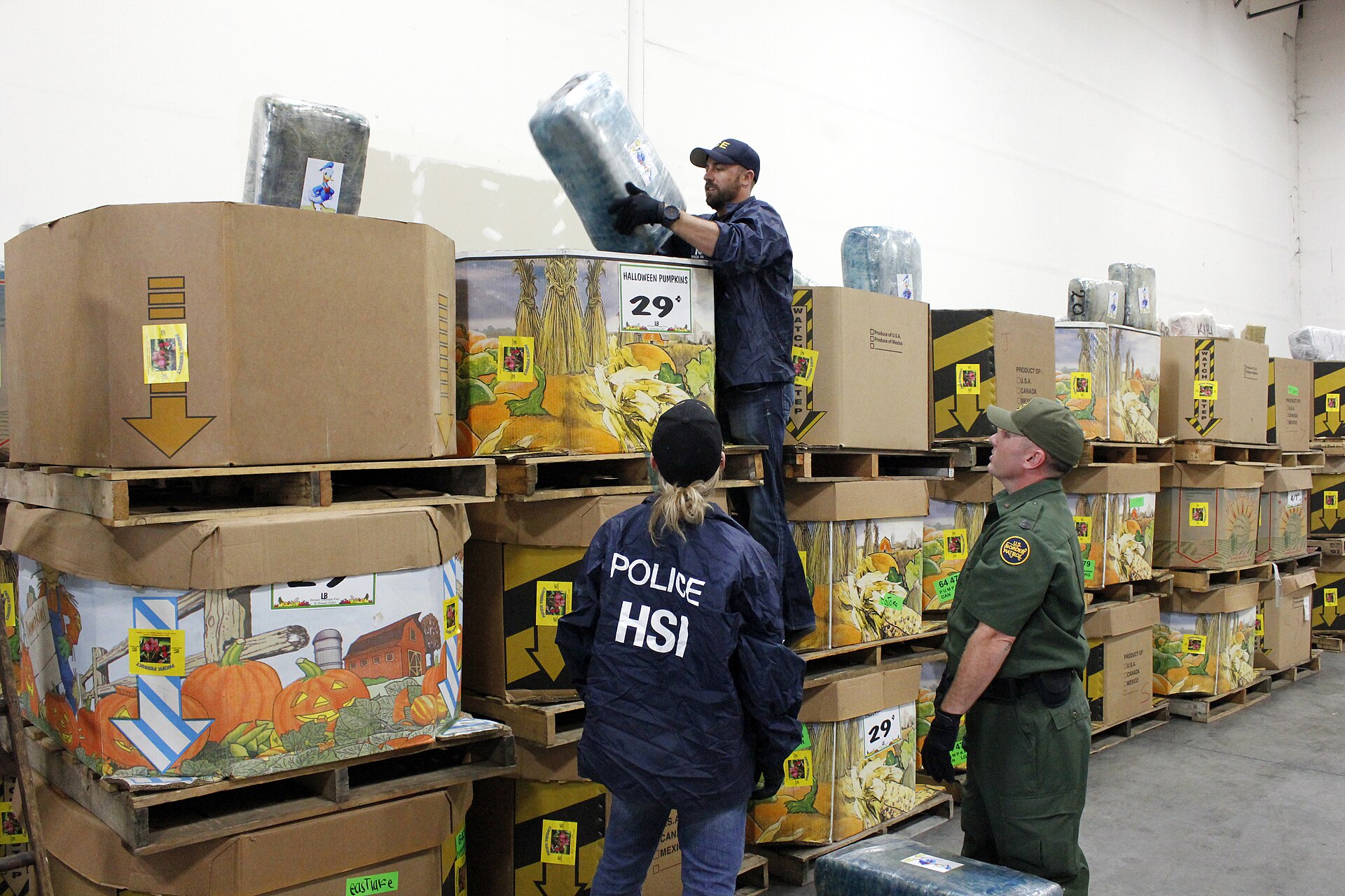 A Homeland Security Investigations agent