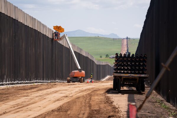 Border Patrol Cuts Down Lochiel’s Last ‘Grandmother’ Cottonwood, Arrests Protesters After 70-Day Tree Sit