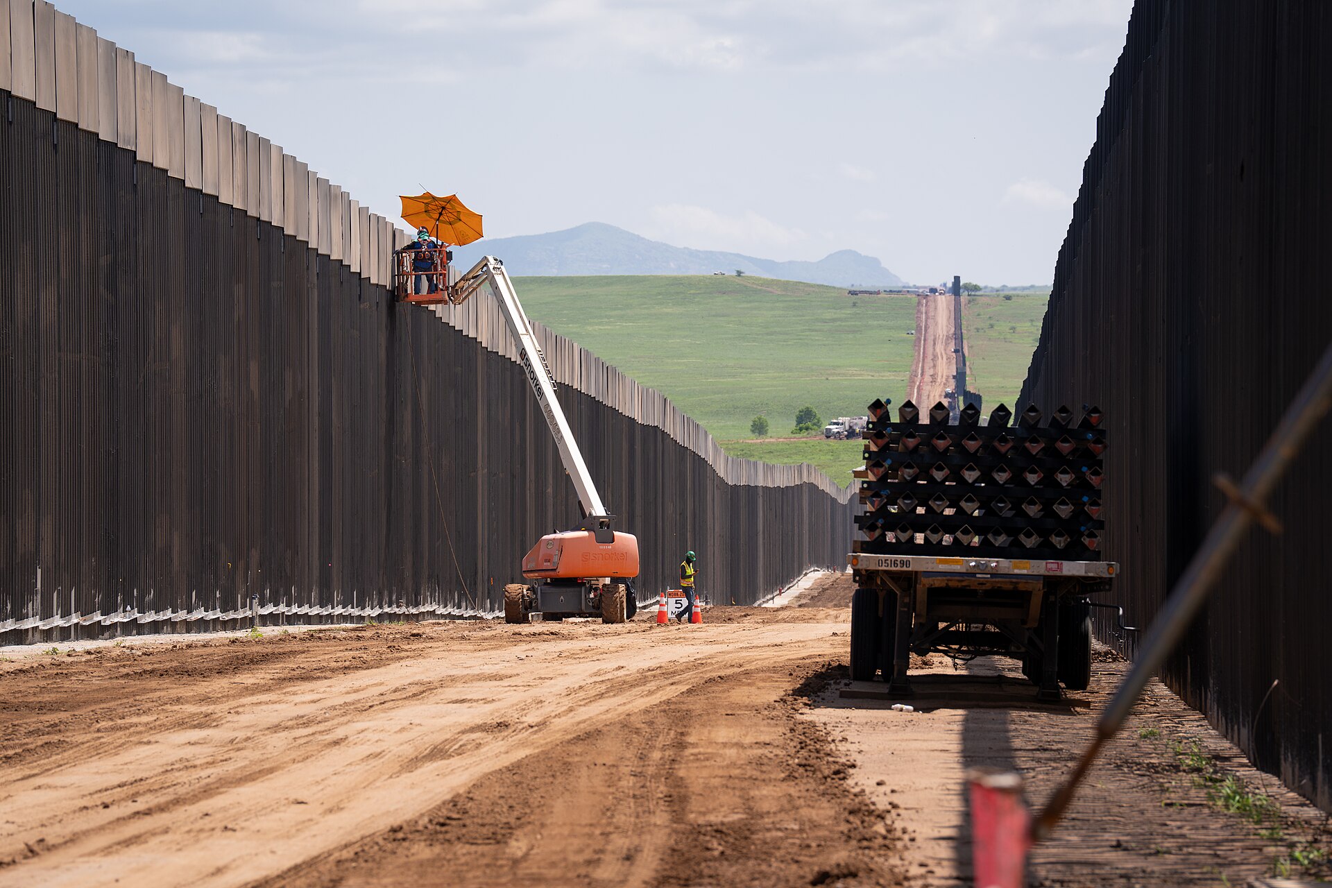 Border Patrol Cuts Down Lochiel’s Last ‘Grandmother’ Cottonwood, Arrests Protesters After 70-Day Tree Sit