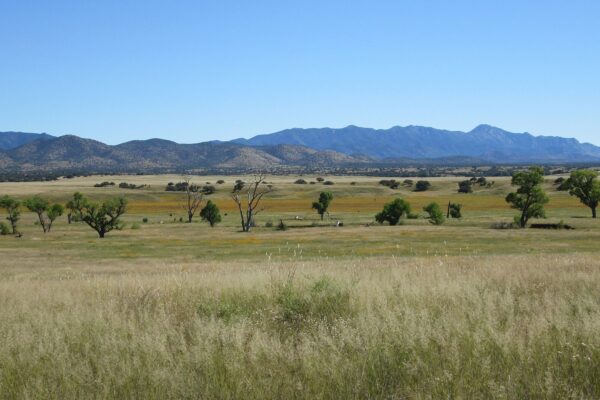 The San Rafael Valley in southern Arizona
