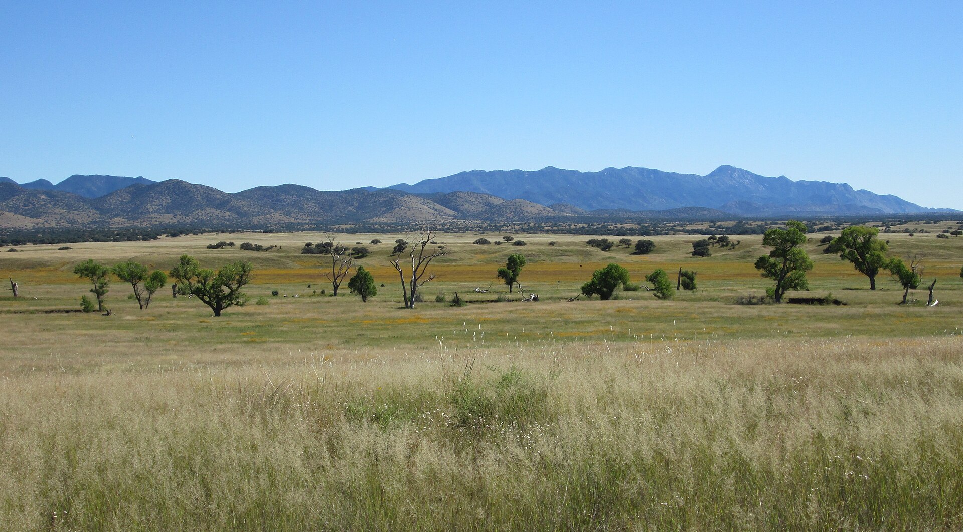 The San Rafael Valley in southern Arizona