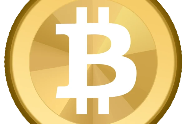 The bitcoin logo