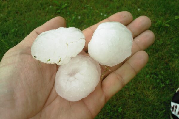 Hailstones on the ground