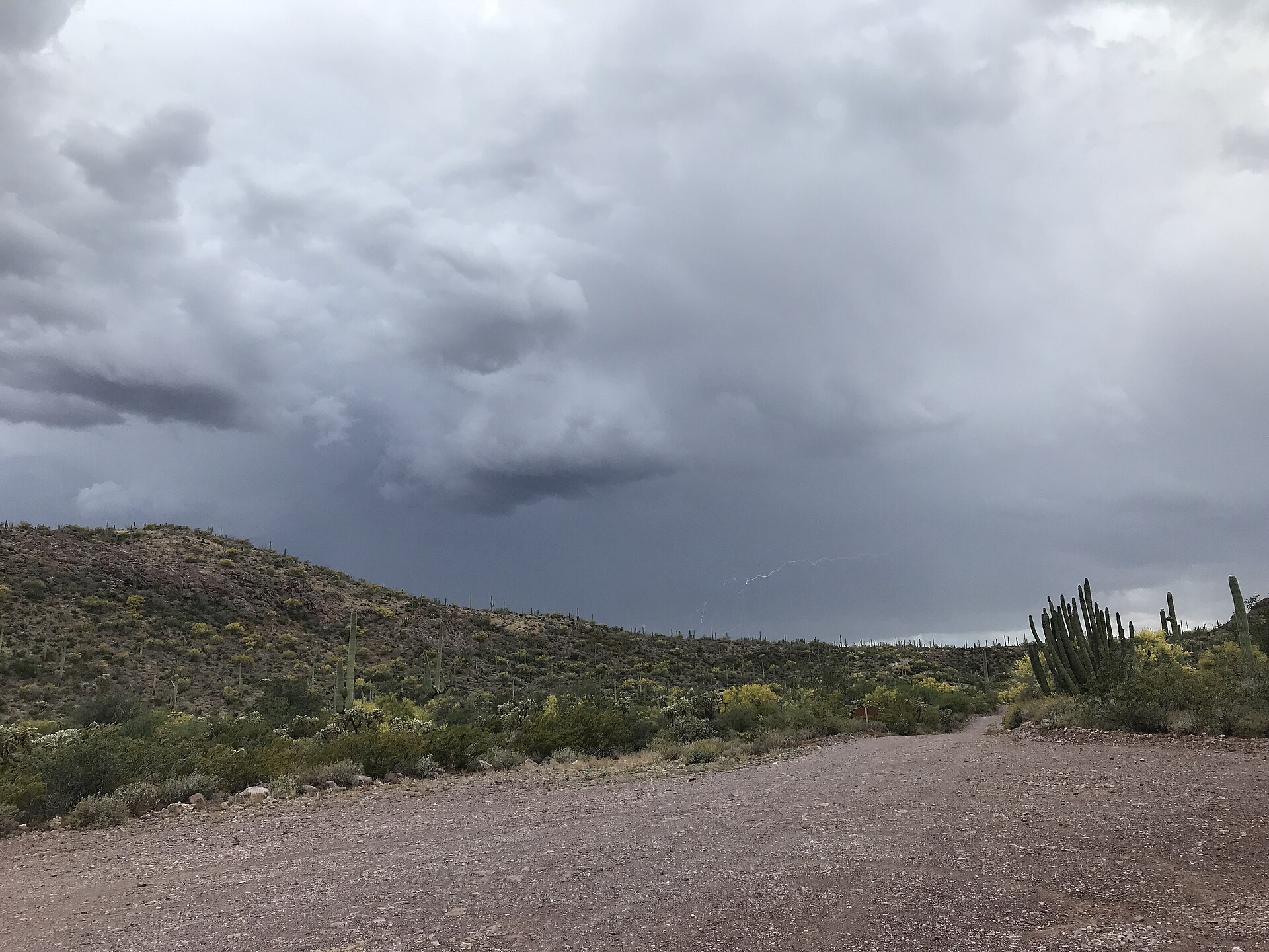 A thunderstorm over the Arizona desert