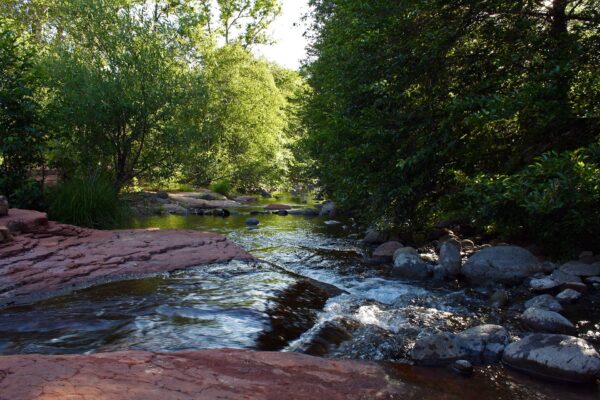 Wet Beaver Creek in the Coconino National Forest