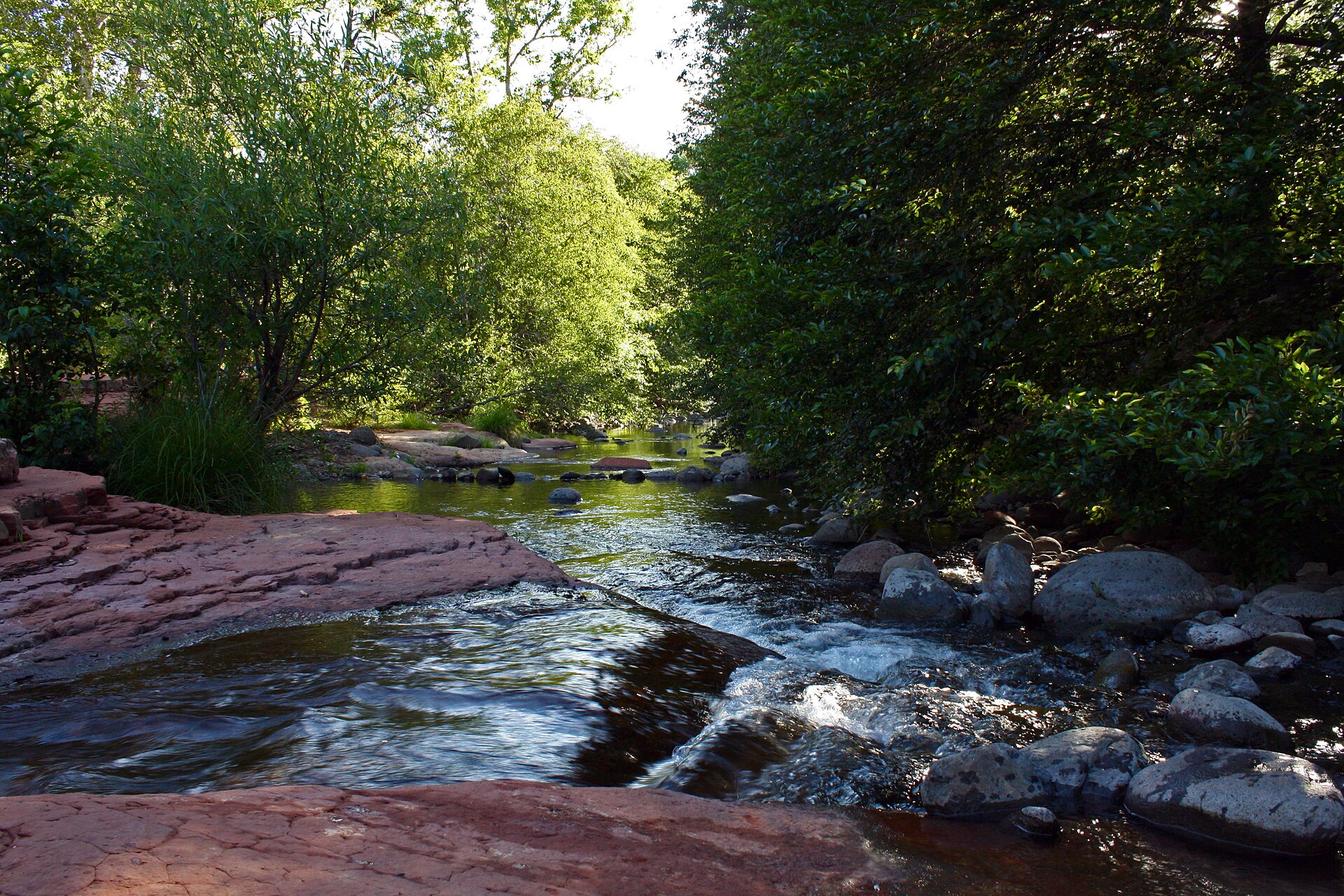 Wet Beaver Creek in the Coconino National Forest